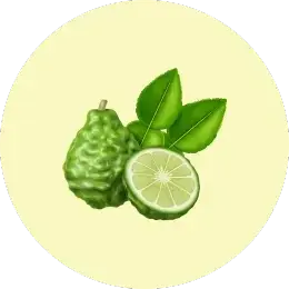 Bergamot