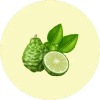 Bergamot