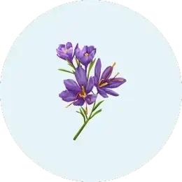 Saffron